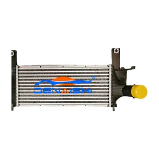 Intercooler til Pathfinder R51 05